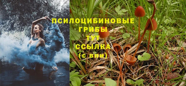 спиды Балабаново